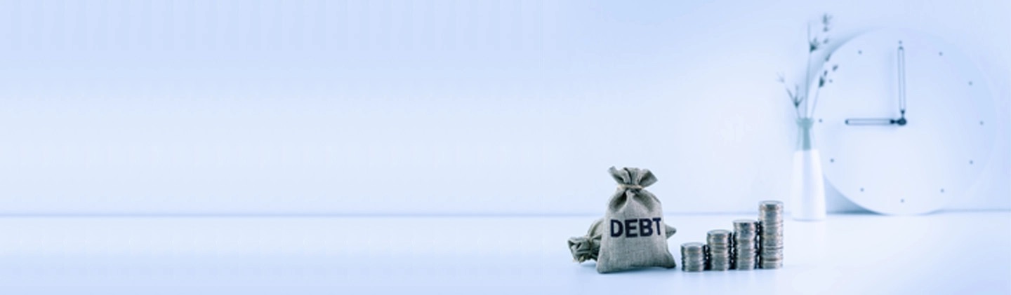 Debt Funds Meaning